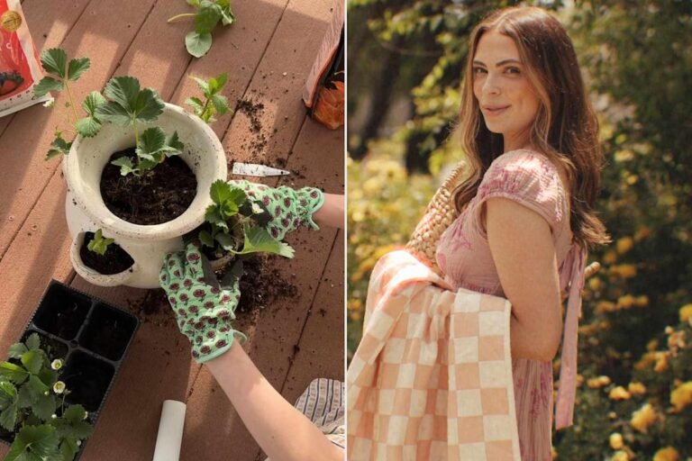 DIY 'Martha Stewart Boot Camp' Gains Attention from the Guru