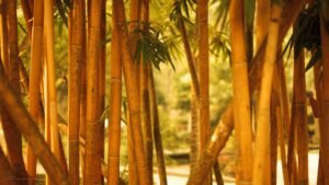 Bamboo Market Projected to Hit $20.3B by 2034 Amid Rising Demand