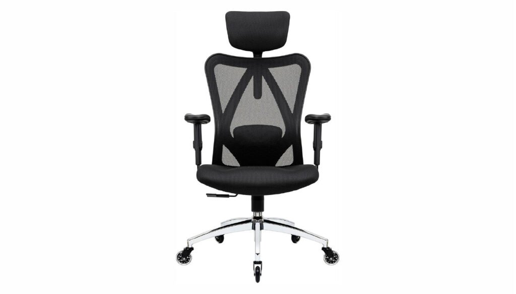Duramont Ergonomic Adjustable Office Chair