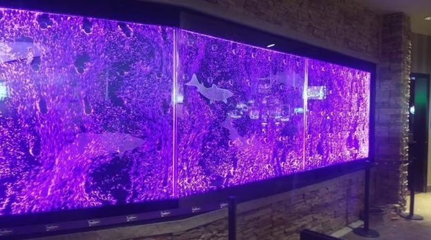 Midwest Tropical: Elevating Interior Design with Custom Water Features