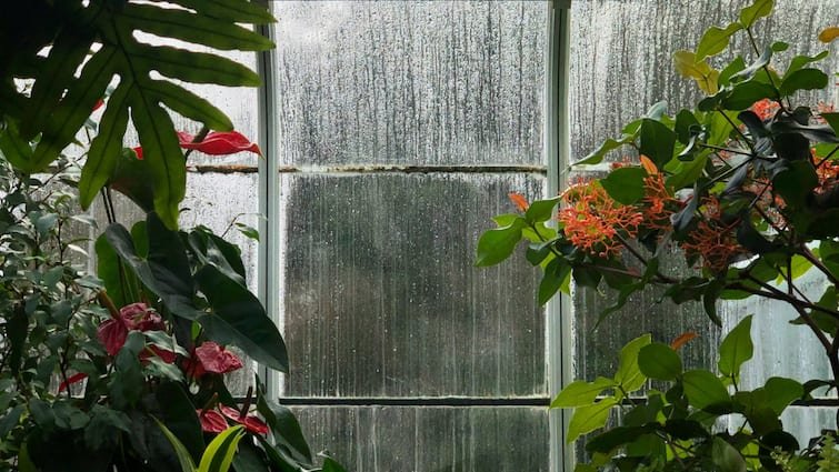Revamp Your Home Décor for Monsoon Season Refresh